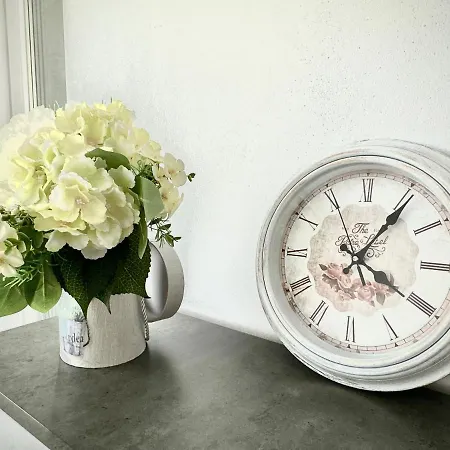 Apartment 4friendscoresibrasov W